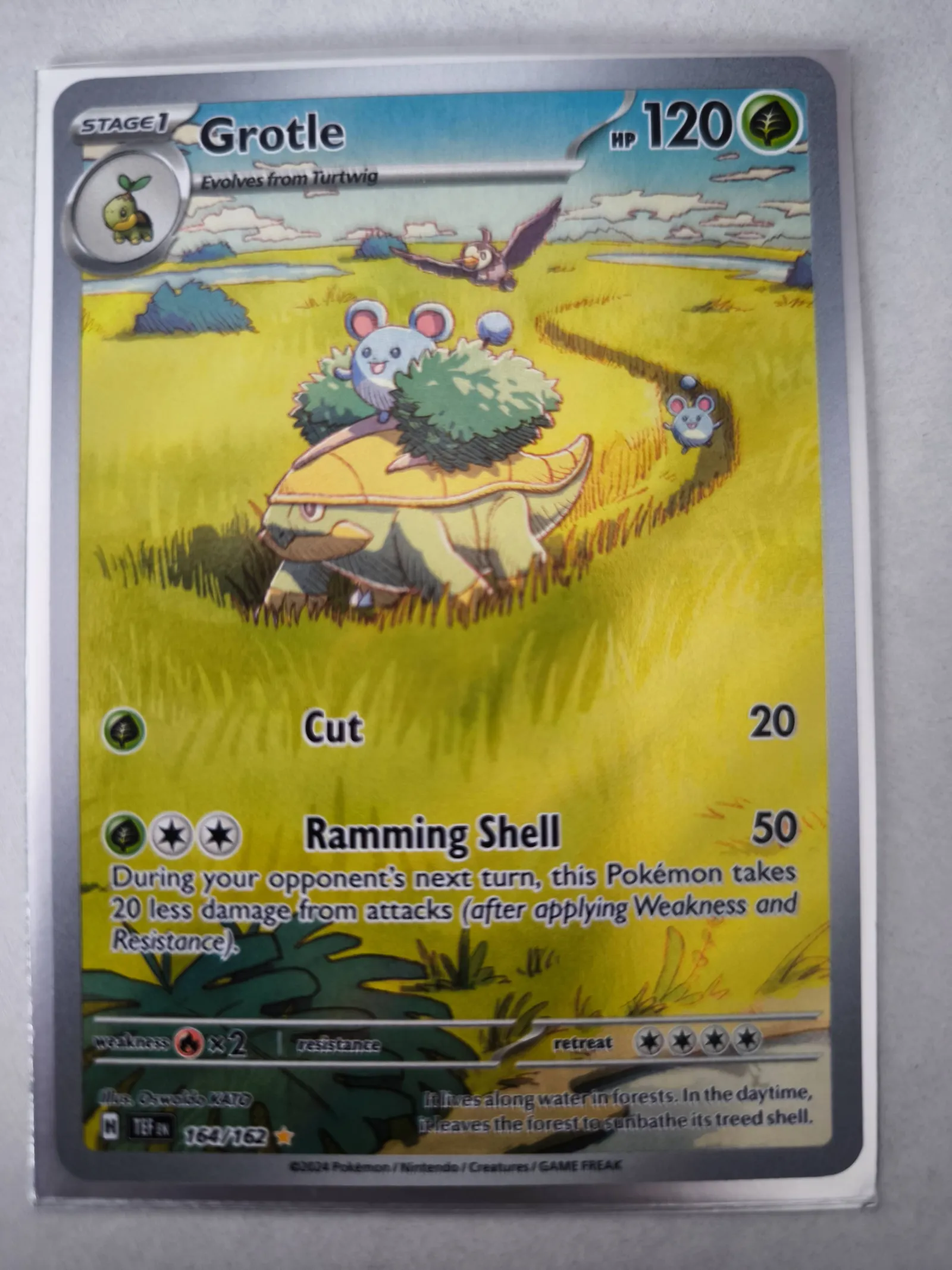 Pokemon TCG Grotle 164/162 Temporal Forces Set